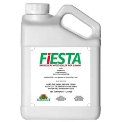 05 HERB:FIESTA 10L